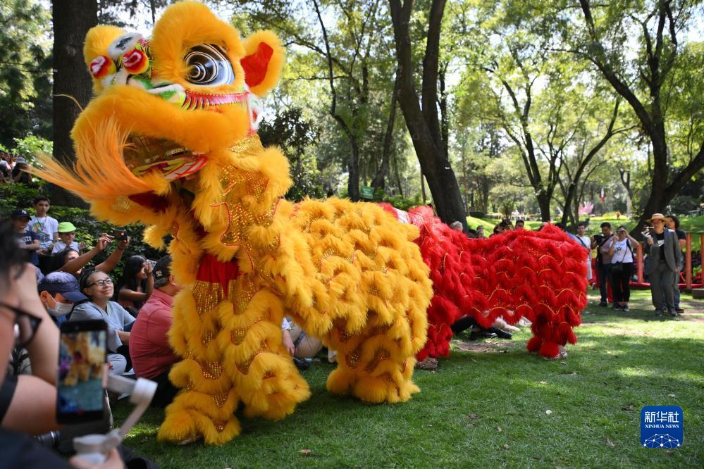 金博集团2019